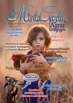 MintaGazda Magazin - online újság