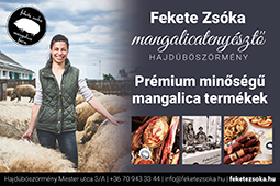 Fekete Zsóka Mangalica Farm