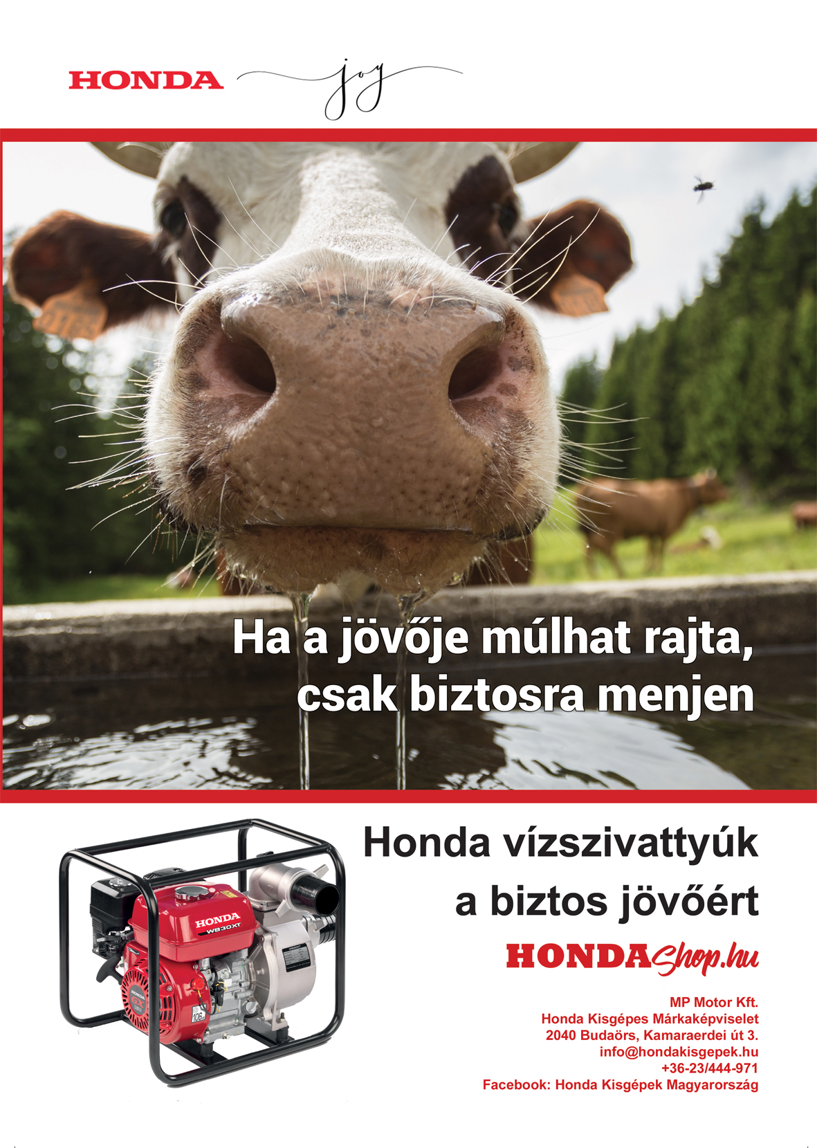 Honda Kisgépek Magyarország