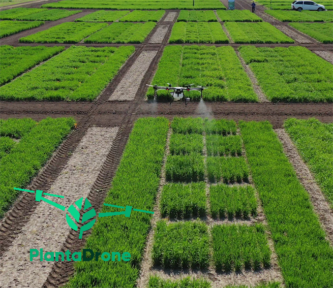 PlantaDrone Kft. - Precíziós, drónos növényvédelmi szolgáltatások belföldön és külföldön