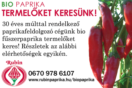A Rubin Szegedi Paprikafeldolgozó Kft. BioPaprika TERMELŐKET KERES! 