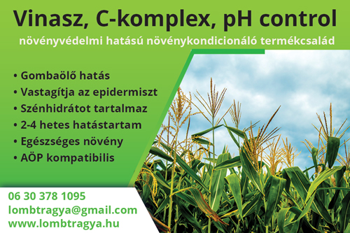 C-komplexek új típusú komplex vegyületek