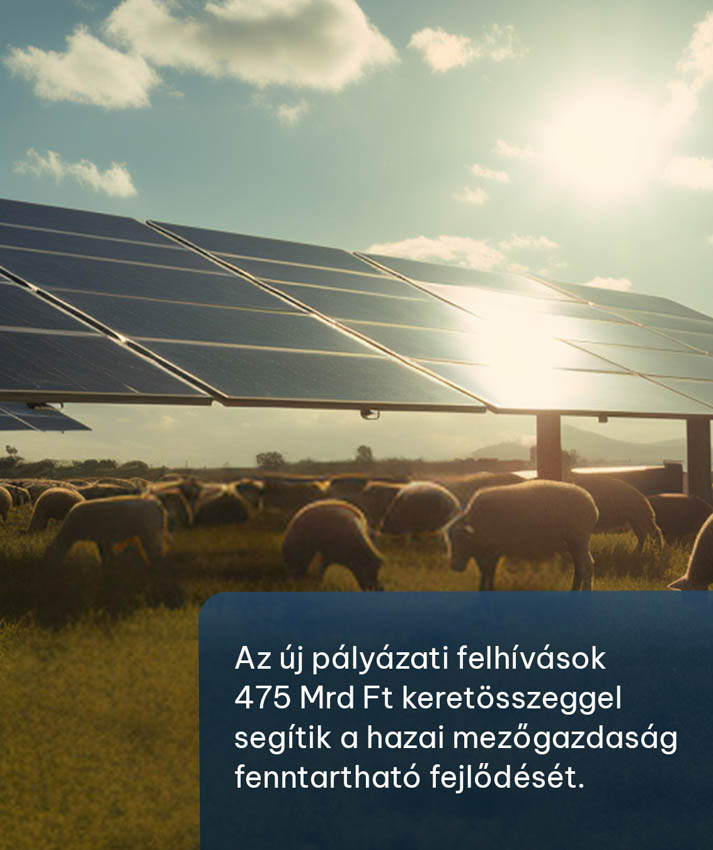 DimenSim, megfizethető energiaellátás minden gazdának