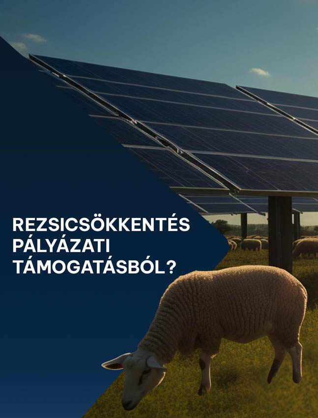 DimenSim, megfizethető energiaellátás minden gazdának