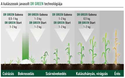 DR GREEN A KALÁSZOS TECHNOLÓGIÁKBAN