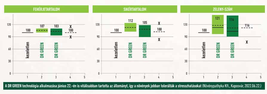 DR GREEN A KALÁSZOS TECHNOLÓGIÁKBAN