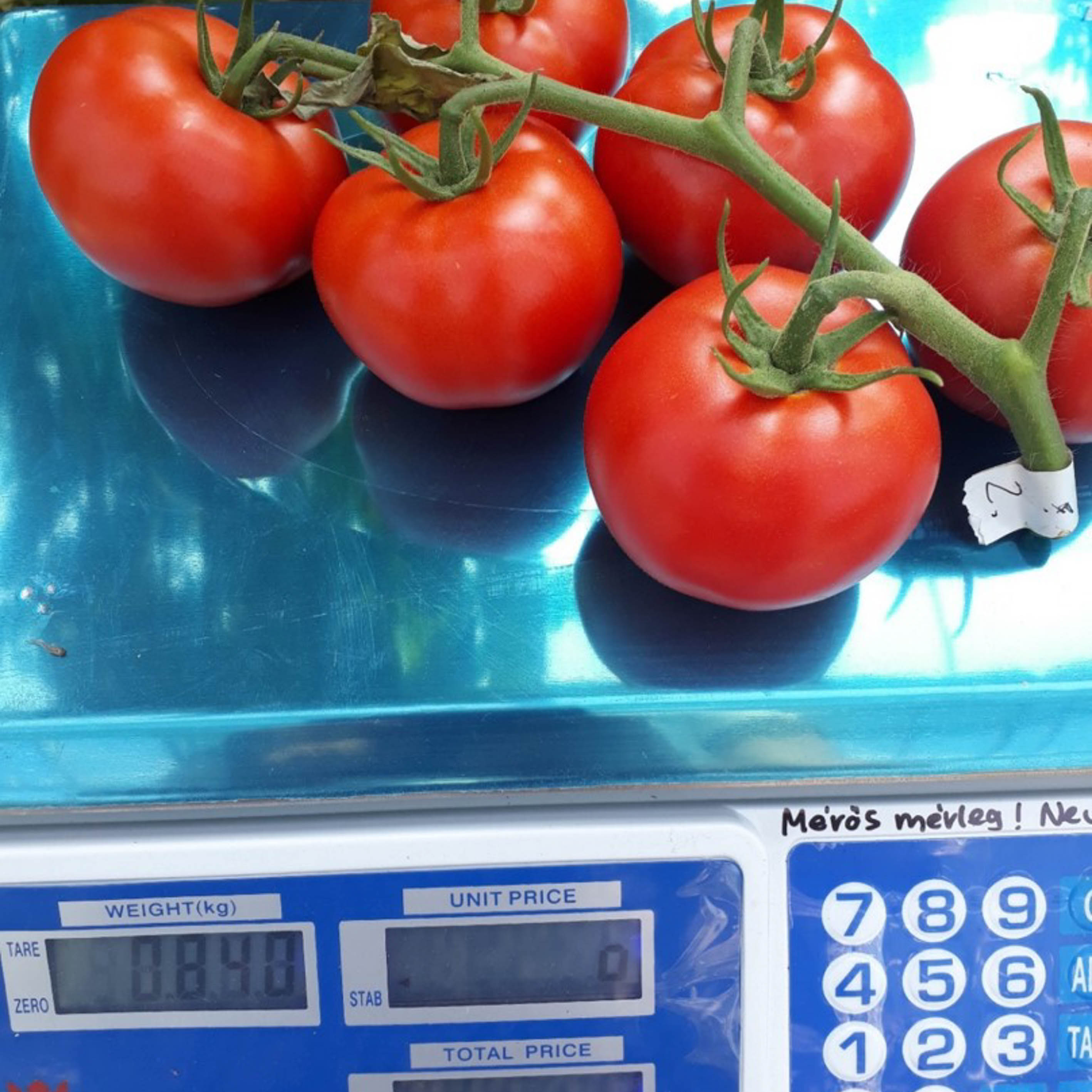 A NÖVÉNYREGISZTRÁCIÓ  FONTOSSÁGA AZ ÜVEGHÁZI PARADICSOM-TERMESZTÉSBEN