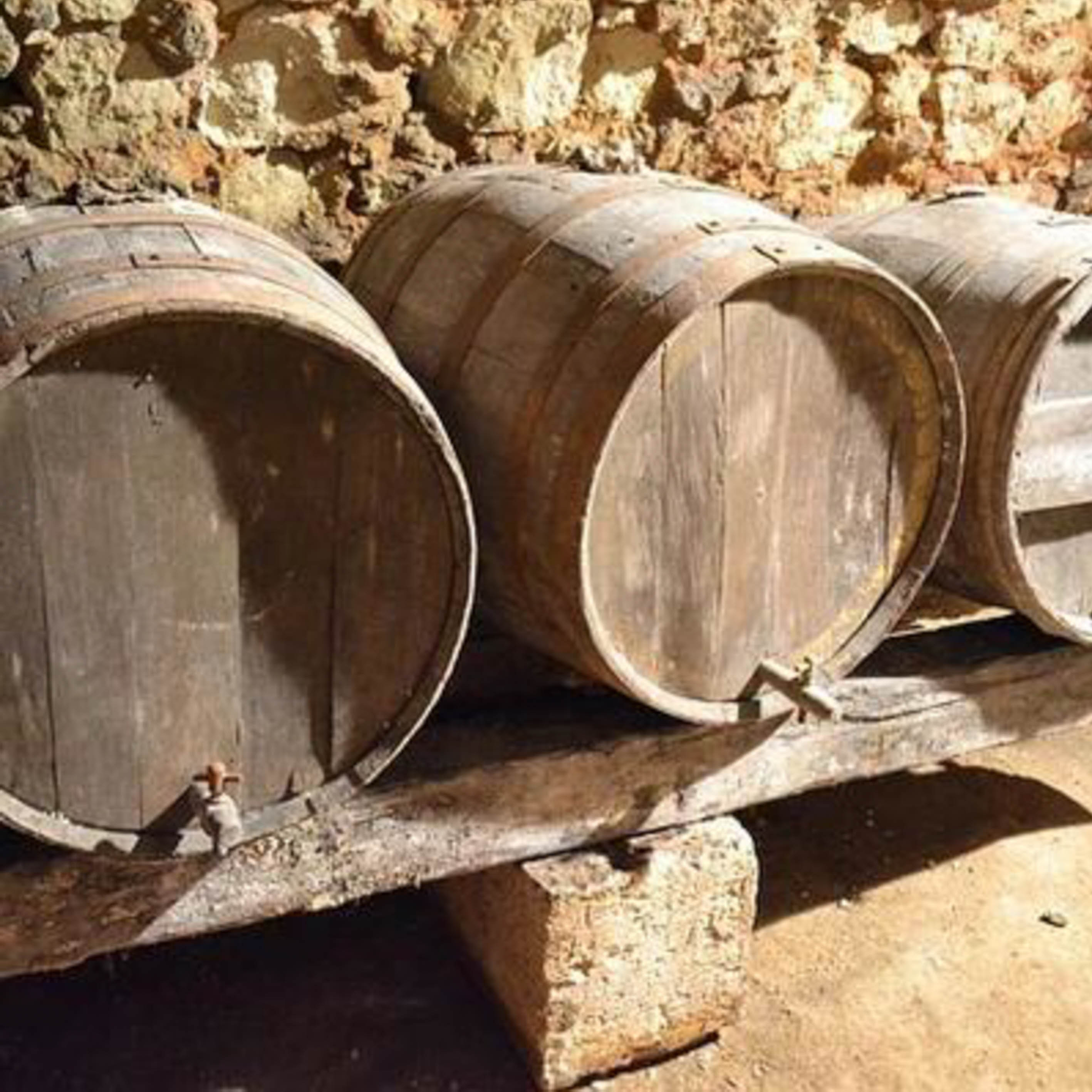 Szent Márton Pincészet Kft