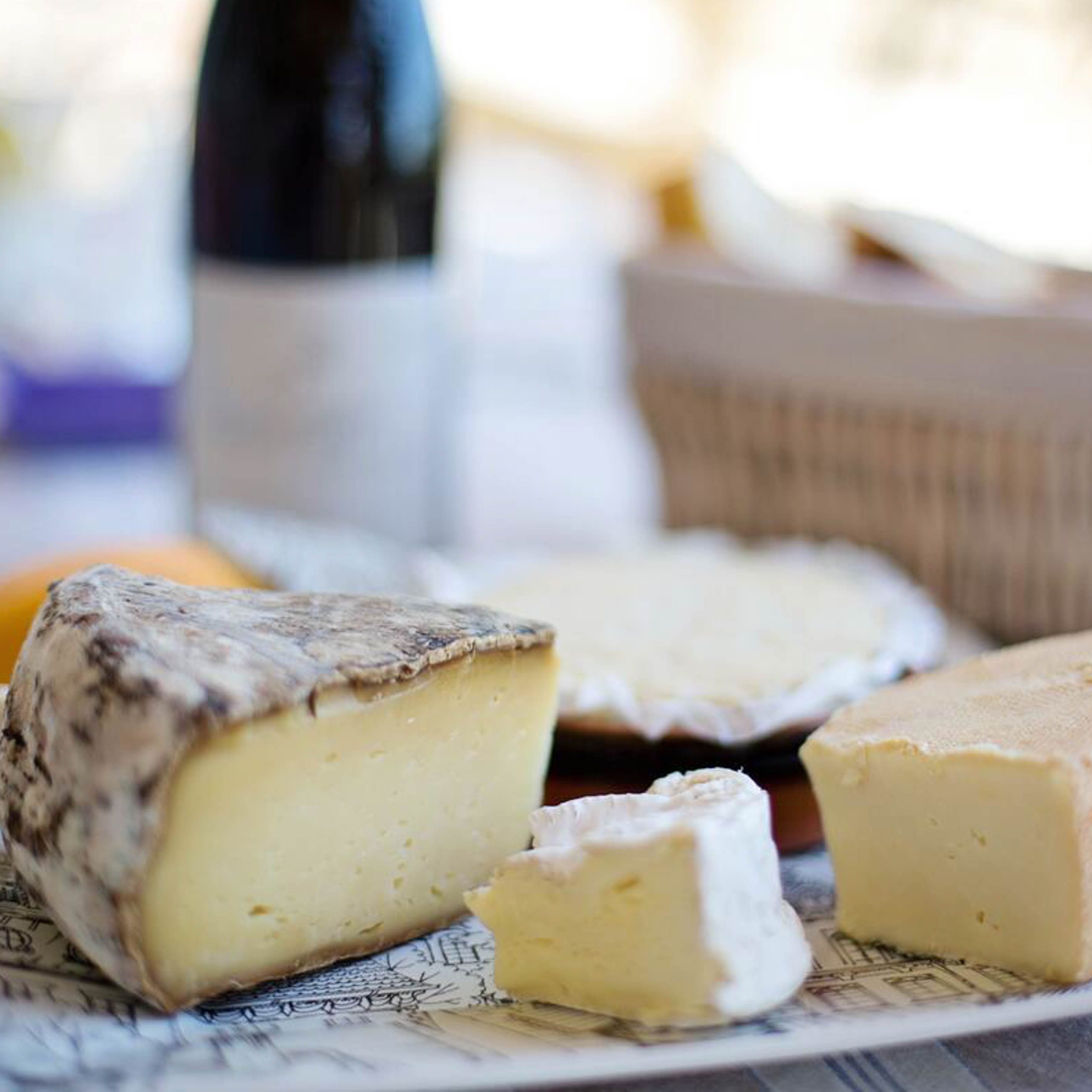 Szent Márton Pincészet Kft