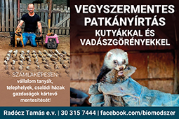 Vegyszermentes Patkányírtás Kutyákkal ès Vadászgörényekkel, vadászgörényes patkányírtás