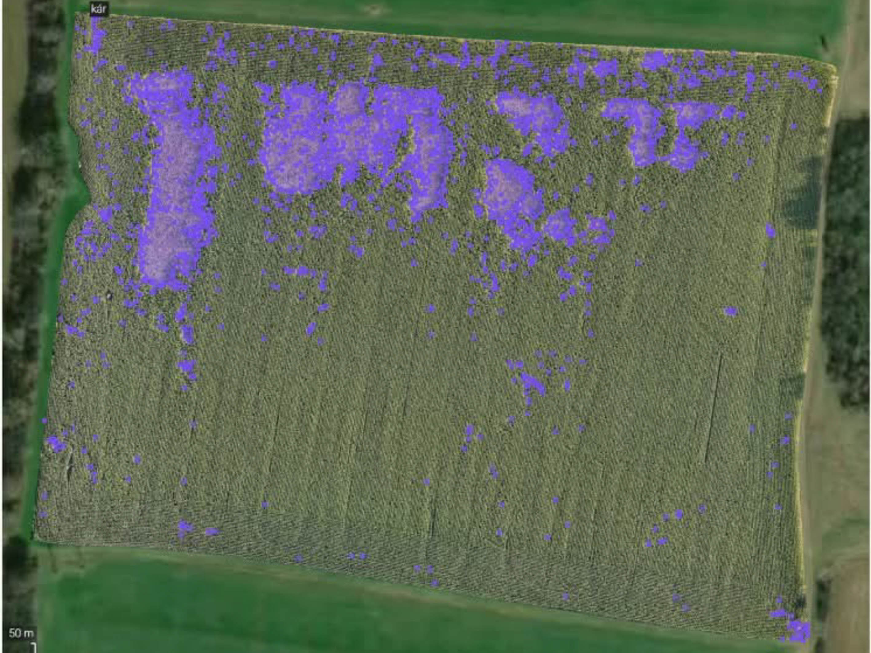Wild-Agro Drone - Mezőgazdasági drónszolgáltatás